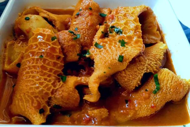 MOGODU TRIPE