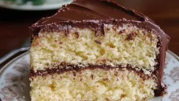 Slice of old fashioned butter cake with rich chocolate frosting between layers and on top, served on a vintage patterned plate