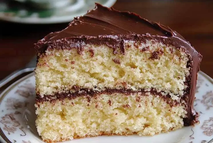 Slice of old fashioned butter cake with rich chocolate frosting between layers and on top, served on a vintage patterned plate
