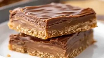 Two stacked chocolate-covered peanut butter bars on a white plate with a crumbly oat base—classic homemade Lunch Lady dessert.