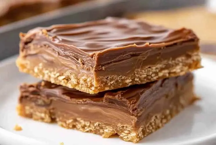 Two stacked chocolate-covered peanut butter bars on a white plate with a crumbly oat base—classic homemade Lunch Lady dessert.
