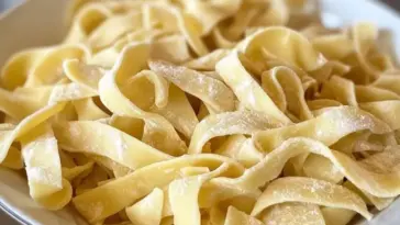 Fresh homemade egg noodles, hand-cut and lightly dusted with flour, served on a white plate, highlighting their soft, rustic texture and golden color.