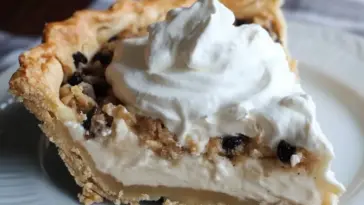 A slice of stupid pie featuring a golden flaky crust, rich creamy filling, dotted with small chocolate chips or raisins, and crowned with a generous swirl of whipped cream on a white plate.
