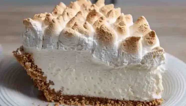 Close-up of a slice of Marshmallow Whip Cheesecake Heaven with a toasted marshmallow topping and graham cracker crust on a white plate.