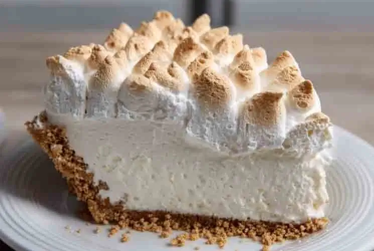 Close-up of a slice of Marshmallow Whip Cheesecake Heaven with a toasted marshmallow topping and graham cracker crust on a white plate.